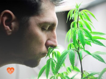 Детоксикация от марихуаны в Ракитном